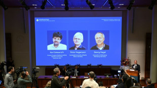 Le Nobel de m&eacute;decine r&eacute;compense des travaux sur les myst&egrave;res du cerveau
