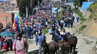 Bolivie: des centaines de partisans d'Evo Morales manifestent à La Paz