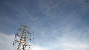 Espagne: "de nombreux jours" pour connaître les causes de la méga-coupure, avertit la ministre de l'Environnement