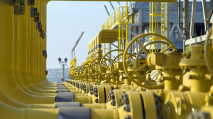 Il prezzo del gas in apertura sale verso i 40 euro