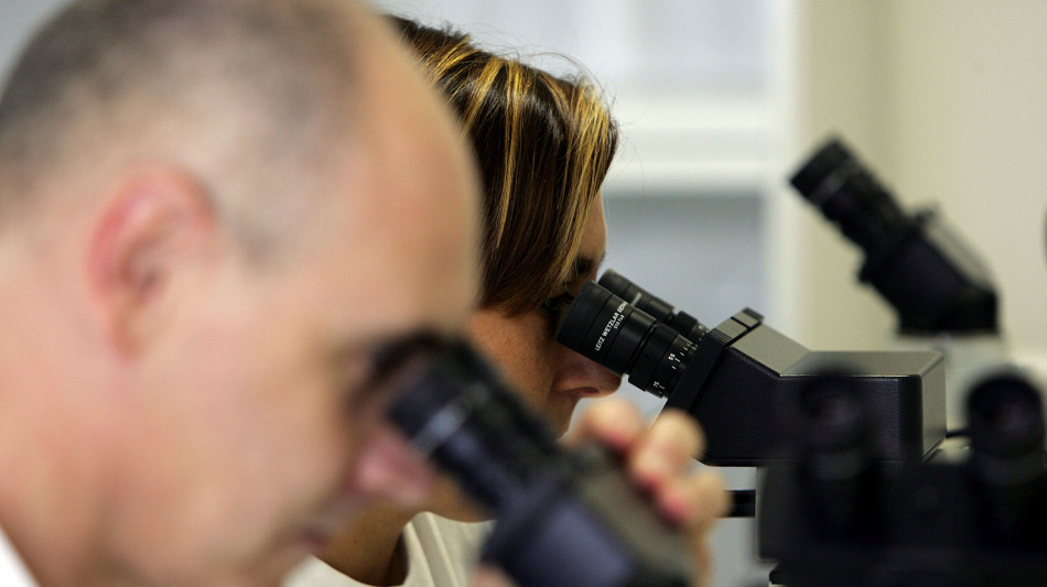 Nuovi indizi sull'origine dei misteriosi neutrini ad altissima energia