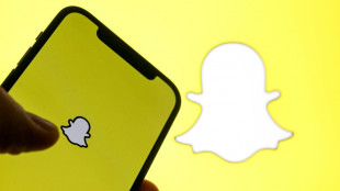 &Ouml;sterreichische Regierung beschlie&szlig;t Social-Media-Verbot f&uuml;r unter 14-J&auml;hrige