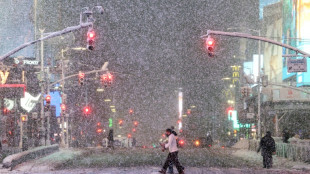 New York orders citywide travel ban as major storm hits US