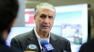 Nucléaire: l'Iran pourrait autoriser des inspecteurs, Trump met en garde Netanyahu