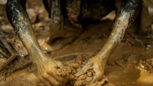 Le Ghana r&eacute;vise son code minier pour augmenter sa part des revenus de l'or