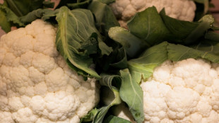 Neuer Ern&auml;hrungsreport: Verbraucher achten wieder mehr auf den Preis 