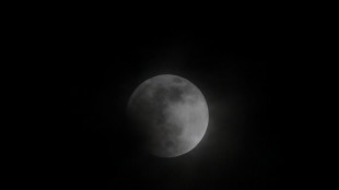 Scoperta una quasi-luna che segue la Terra da 60 anni