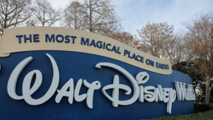 Funcion&aacute;rio da Disney evita acidente com rocha de borracha de 180kg nos EUA