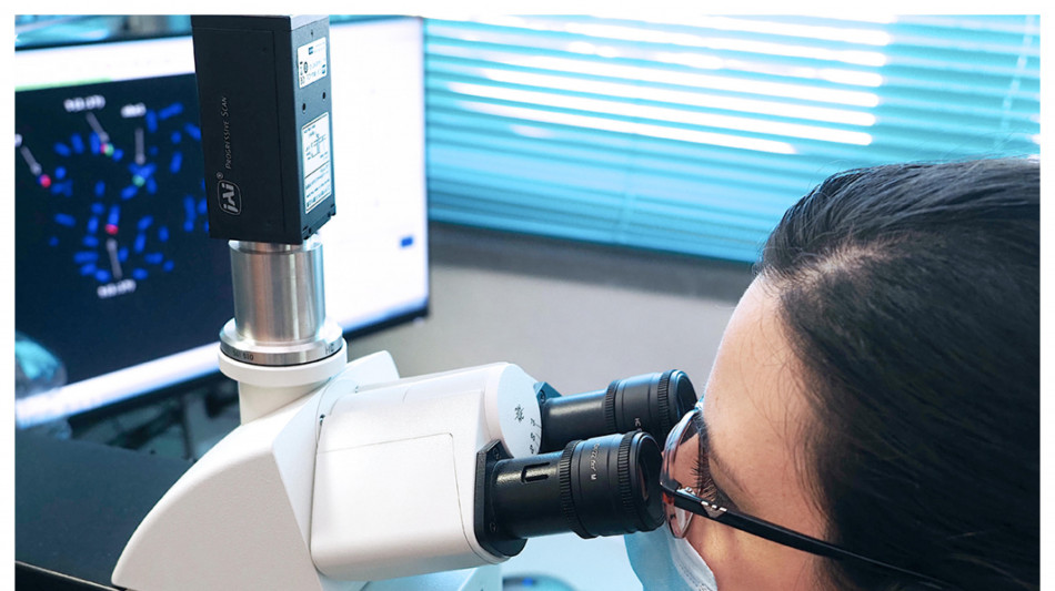 Sclerosi multipla,un canale bloccato apre a nuove terapie mirate