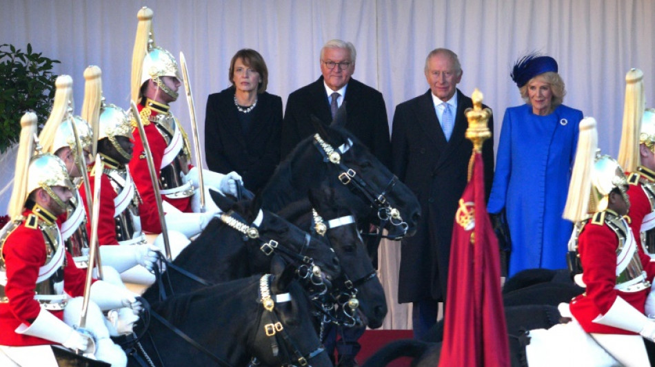 German president gets royal treatment on UK state visit