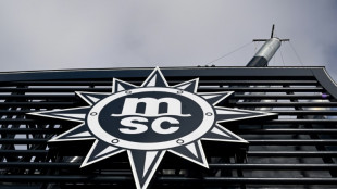 MSC Croisières commande deux navires au chantier naval français de Saint-Nazaire pour 3,5 mds d'euros