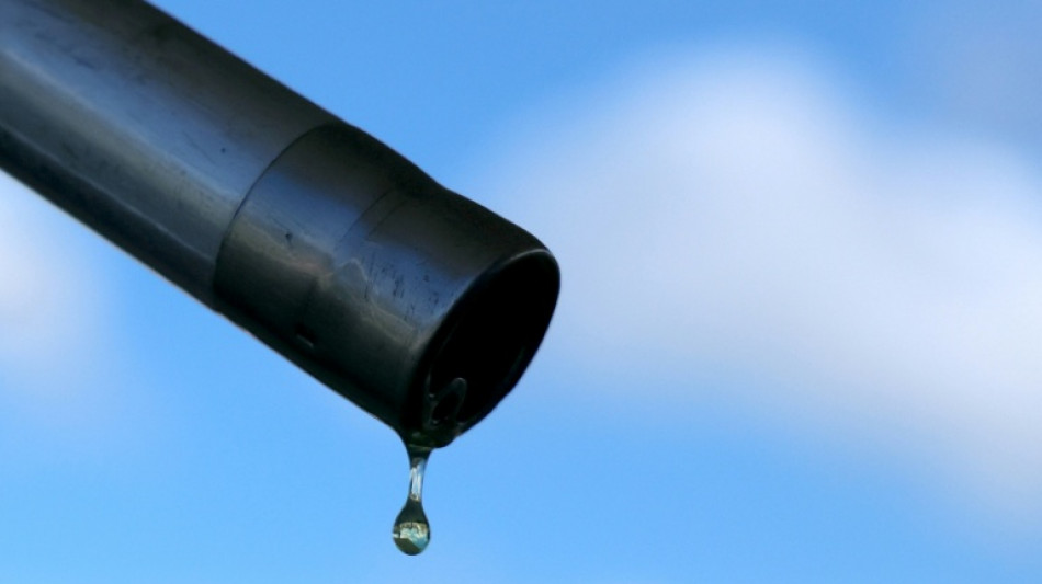 Petr&oacute;leo modera sua alta e Wall Street se recupera gra&ccedil;as a Trump