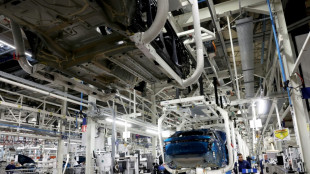 Le marché automobile reste atone en France