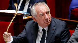 Référendum sur le budget: l'idée de Bayrou accueillie avec fraîcheur 