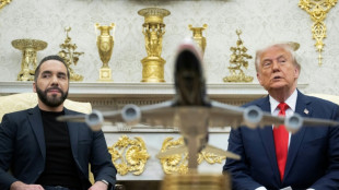 La presidencia de Trump desafía el Estado de derecho en EEUU