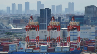 Japan posts modest growth despite US tariffs