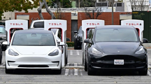 Tesla troubles: Speed bump or early signs of impending crash?