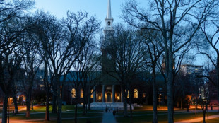 Baisse de près de 20% des visas étudiants aux Etats-Unis