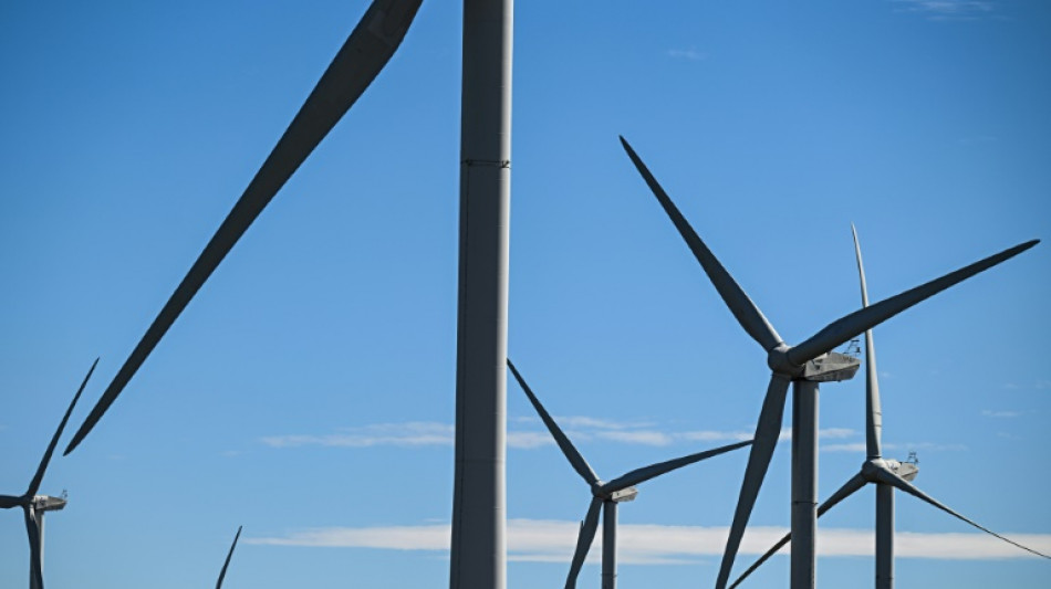 Energie: "des filières entières vont licencier" en cas de moratoire sur les renouvelables, selon Ferracci