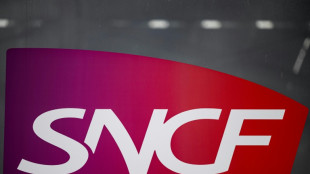 La SNCF de nouveau interpell&eacute;e apr&egrave;s la mort d'un chat sur des voies en gare de Lyon