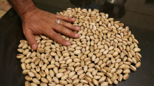 Exporte deutscher Unternehmen in den Iran sinken 2025 um fast ein Viertel 