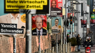 Insa-"Sonntagstrend": Union, SPD und AfD mit Einbußen - Linke wäre im Bundestag