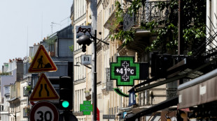 La canicule atteint son pic, l'Île-de-France suffoque