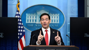 US pauses Hormuz escorts, Trump says progress on Iran deal