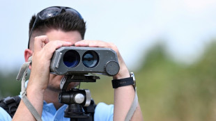 Verkehrssünder fahren Audi sowie Tesla und Porsche - wenig Punkte bei Honda-Fahrern