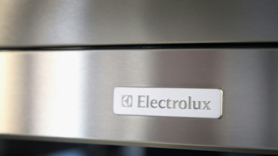 Electrom&eacute;nager: Electrolux va lever 830 millions d'euros et supprimer 3.000 postes