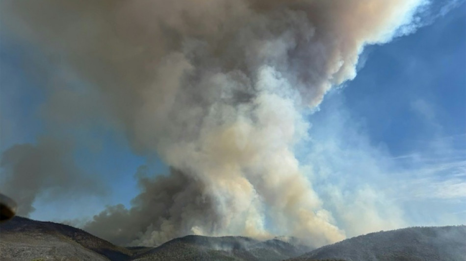 Australia declara el estado de desastre por los incendios forestales