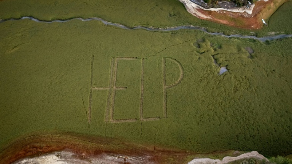 Cry for help as French-Swiss lake dries up