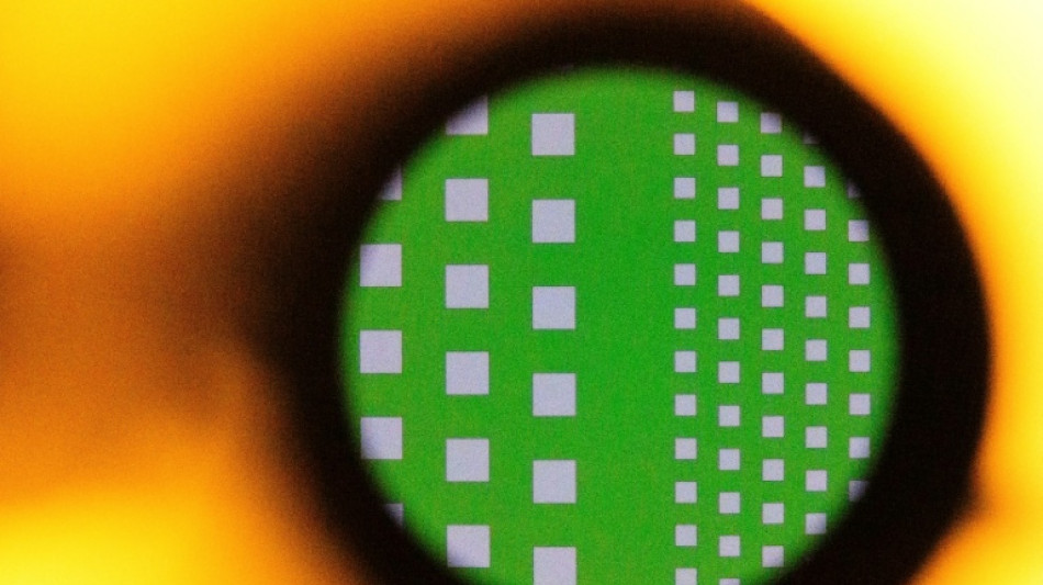 'Immense' leverage: why AI chip workers are demanding more