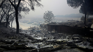 Espa&ntilde;a y Francia combaten a contrarreloj los incendios antes de otra ola de calor