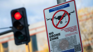 Munich airport closure 'wake-up call' on drone danger: govt