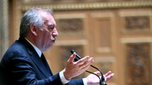 French PM sparks outrage with immigration 'flooding' remark