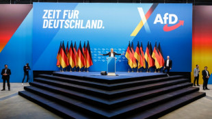 Allemagne: le débat sur le parti AfD, classé "extrémiste de droite", est relancé