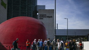 Madrid y Lisboa piden reforzar urgentemente las interconexiones eléctricas con Francia tras el apagón ibérico