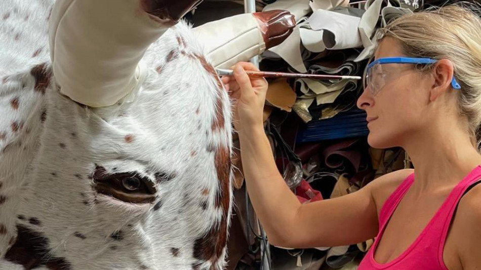 Made in Italy i tori meccanici da rodeo, a rischio dazi Usa