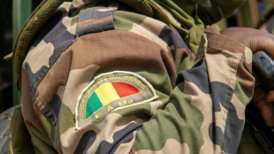 Wave of arrests, abductions after attacks on Mali junta