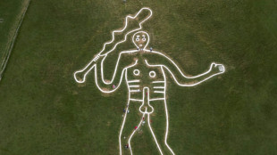 British naked chalk giant gets spruced up