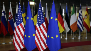 Ue, 'aerei, pharma ed energia esenti dai nuovi dazi Usa'