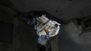 El ejército israelí transforma en "zona de seguridad" al 30% de la Franja de Gaza