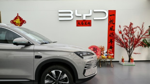 Le géant chinois BYD publie un bénéfice et un chiffre d'affaires record pour 2024, supérieur à Tesla