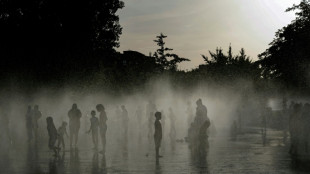 Major power outage in France as Europe wilts under record heat