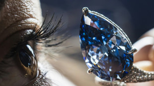 Un diamante azul vivo vendido en m&aacute;s de 25 millones de d&oacute;lares en Ginebra
