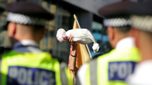 Hundreds of pro-Palestinian demonstrators rally outside London arms show