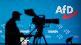 OB-Wahl in Ludwigshafen: Abgelehnter AfD-Kandidat scheitert mit Verfassungsbeschwerde
