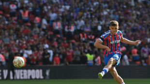 Angleterre: Crystal Palace remporte le Community Shield face à Liverpool
