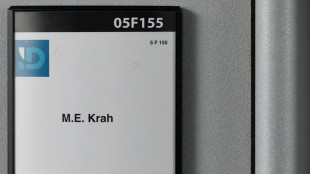 Condannato per spionaggio ex assistente eurodeputato Afd